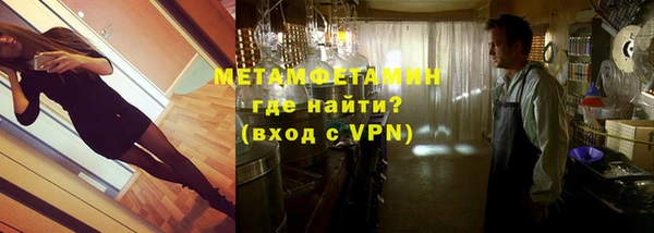 индика Бородино