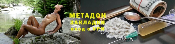 прущие грибы Анива