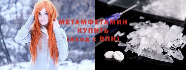 индика Бородино