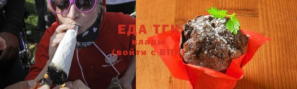 индика Бородино