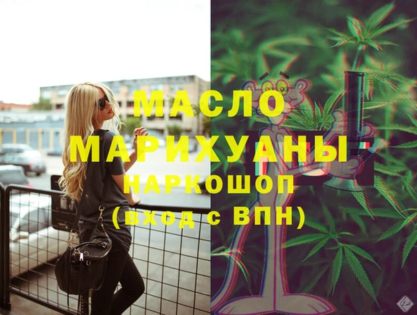 индика Бородино