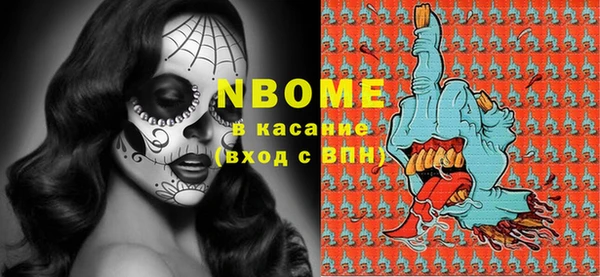 индика Бородино