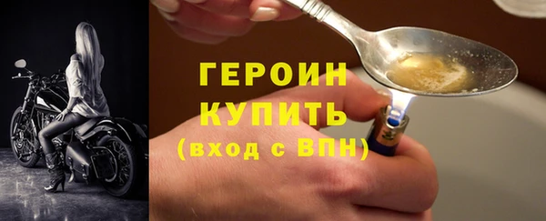 индика Бородино
