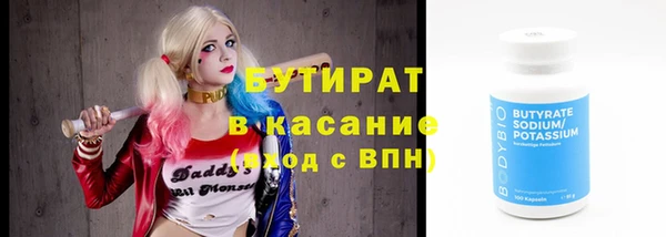 индика Бородино