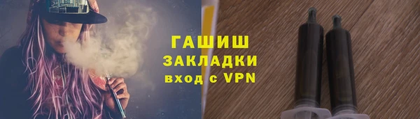 индика Бородино