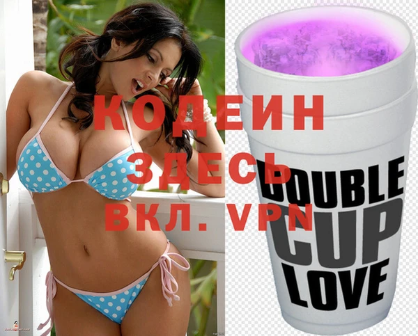 индика Бородино