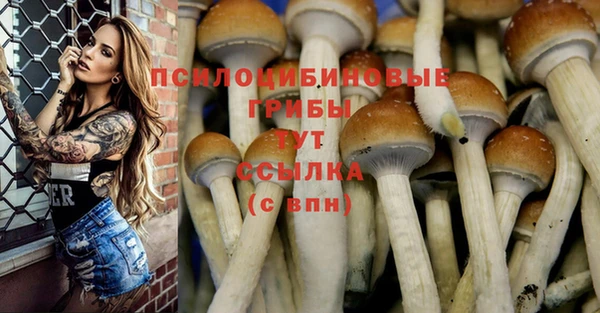 MDMA Premium VHQ Бугульма