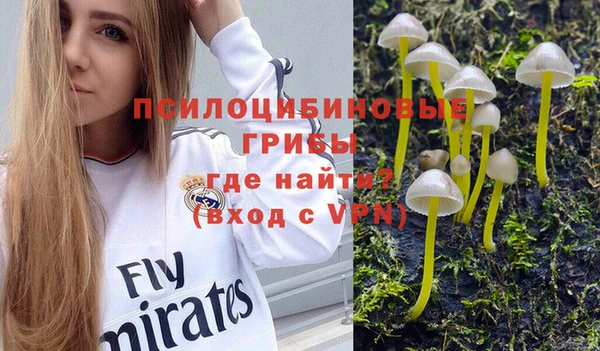 MDMA Premium VHQ Бугульма