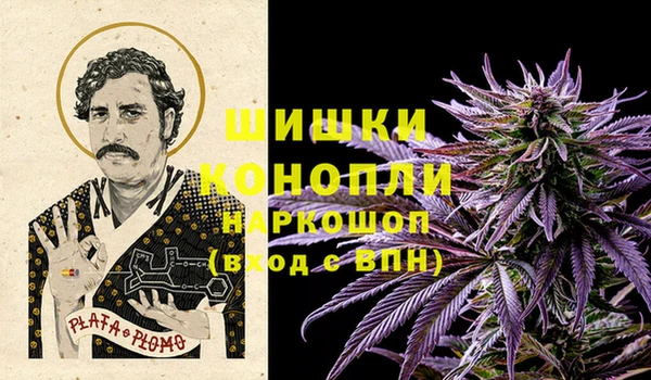 индика Бородино