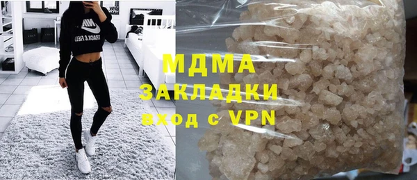 индика Бородино