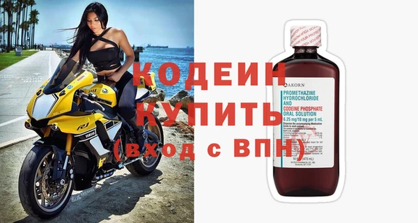 индика Бородино