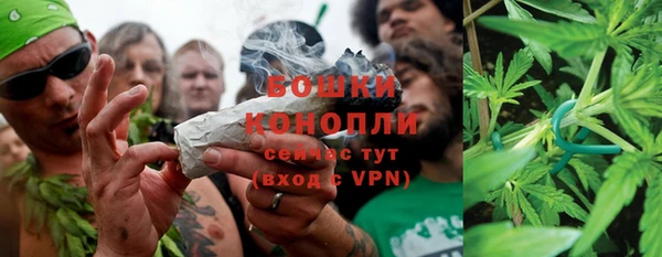 индика Бородино