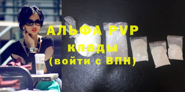 индика Бородино