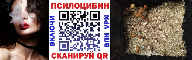 Галлюциногенные грибы Cubensis  Вичуга 